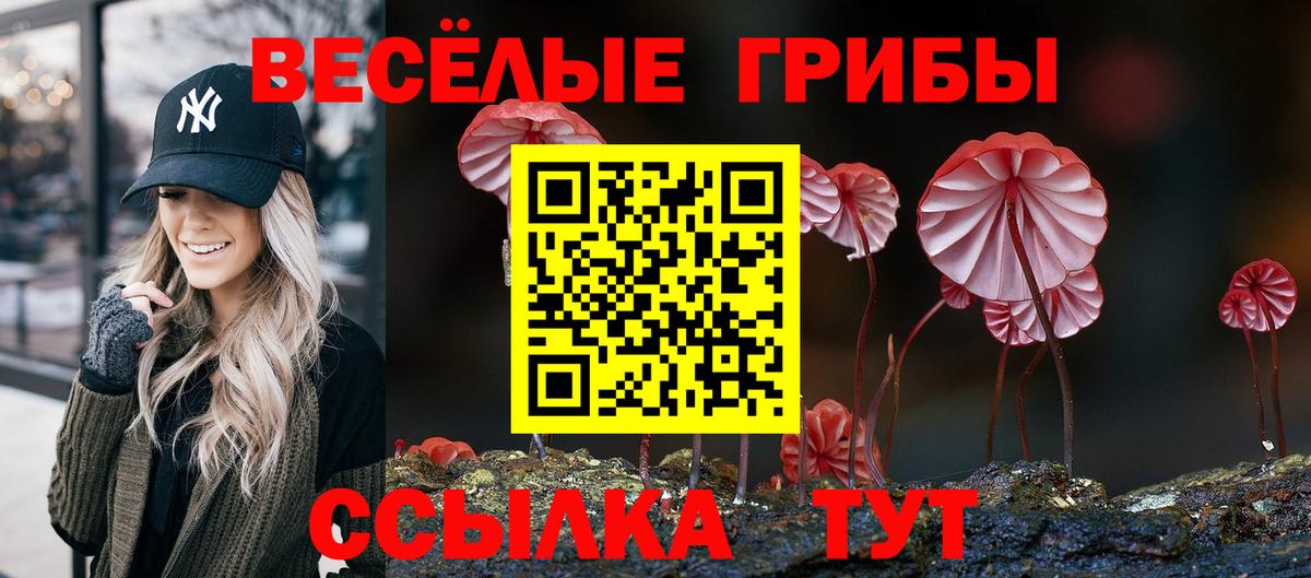 Трёхгорный  Псилоцибиновые грибы мухоморы  сколько стоит  Вход с VPN  Галлюциногенные грибы Psilocybe 