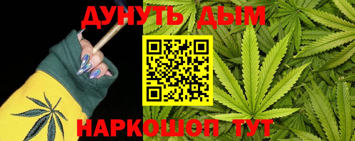 Конопля гибрид Трёхгорный